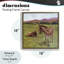 «Donkey Duo in Pasture Floating Frame», conception de Patricia Reynolds-672698121-672698127
