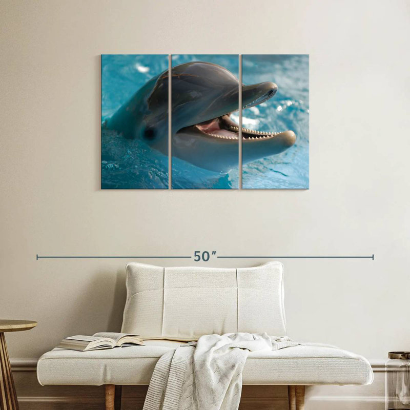 Brampt Delighted Dolphin, 24" H x 38" W