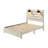 Eschol Bedroom Set-1070901179