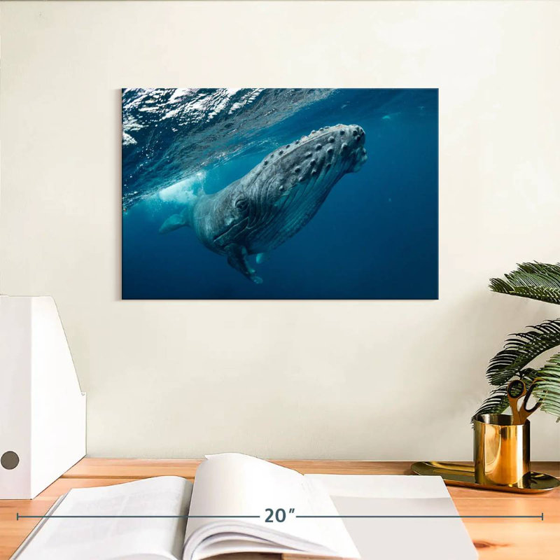 Whale Near Surface, 8" H x 12" W