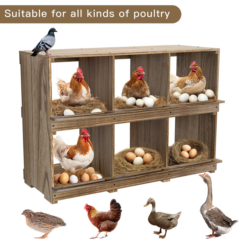 Effrem Chicken Nesting Boxes, Compartment Nest Box Wall Mount for Chickens, Easy Egg Collection, 26.4"H x 35.43"W x 13.77"D