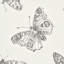 Papier peint Burnell Butterfly-55273220
