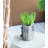 Pot Planter-69172812