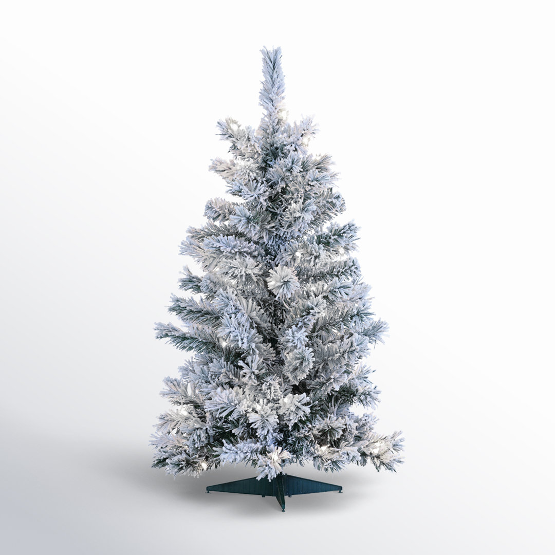 Colorado 36' Lighted Spruce Christmas Tree The Holiday Aisle®