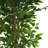 Artificial Ficus Tree With Black Plastic Pot