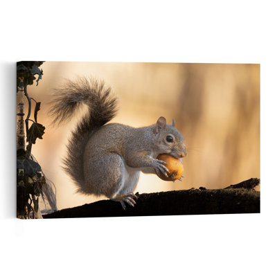 Autumn Squirrel With Fruit Abstract Contemporary Squirrel Forest Landscape Wall Art Print by Massimo Chiodini - Print