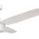 Temel 52'' Ceiling Fan