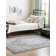 Shailena Oriental Indoor Rug