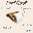 Bamboo Toilet Paper Holder