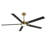 60 In. 5 Aluminium Blades Indoor Led Ceiling Fan With Remote, Smart ceiling fan-75918956