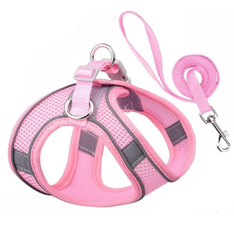 No Pull Dog Harness and Leash Set, Step in Adjustable Dog Harness with Padded Vest for All Weather, Dog Leash with Soft Padded Handle, Easy to Put on Small and Medium Dogs Pure Pink XS