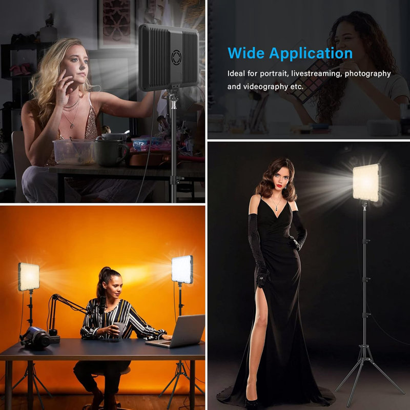 Ensemble de 2 lumières vidéo à DEL avec trépied réglable de 63 po, éclairage bicolore à intensité variable de 2 500 à 8 500 K pour la photographie, le studio, la vidéo, la diffusion en continu, le balado, un chargeur USB et un étui de transport