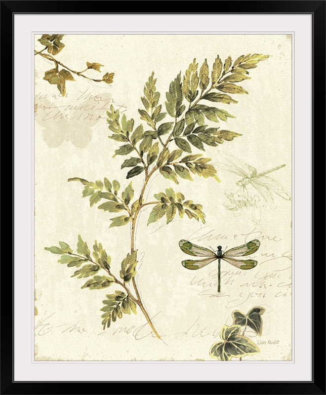 «Ivies and Ferns III» par Lisa Audit, impression, H 28 po x l 24 po x P 1 po, Cadre noir