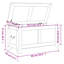 Camp Trunk / Footlocker-600967043