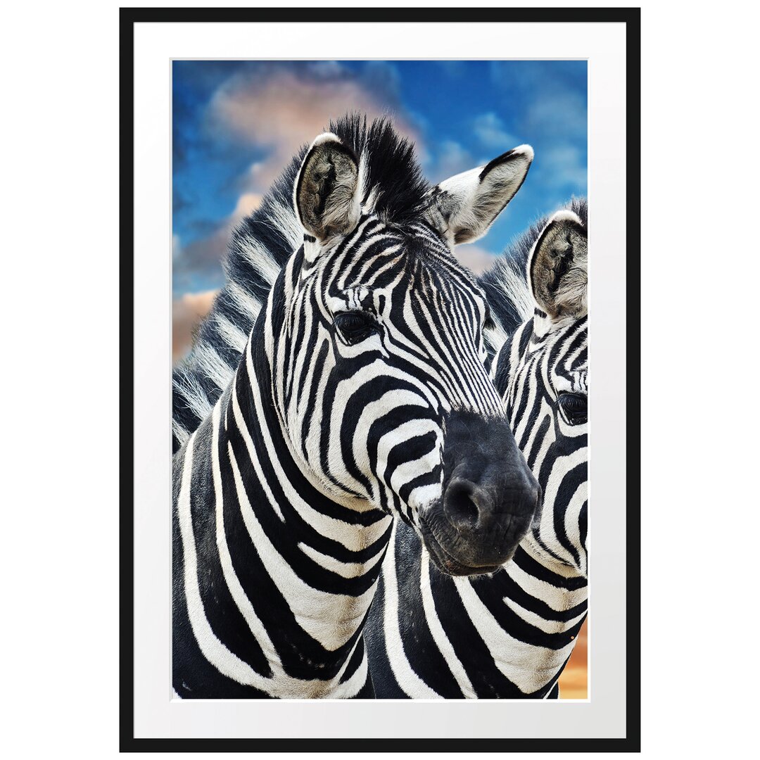 Gerahmtes Poster Zebra Pärchen