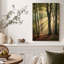 Rayons de soleil dorés à travers les grands arbres de la forêt, tableau sur toile-2065490624