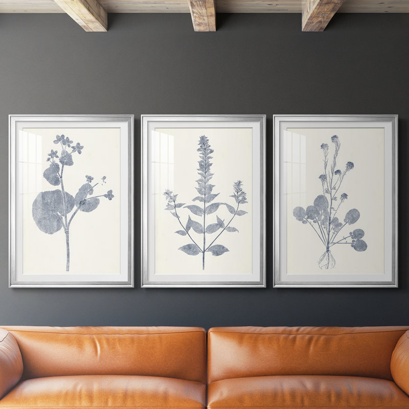 Marine Botanicals VI - reproduction sur mesure encadrée de qualité supérieure - 3 pièces, Argent argent, H 19 po x l 27 po