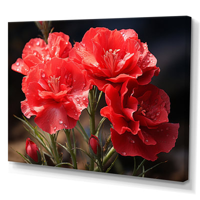 " Carnations Field IV "