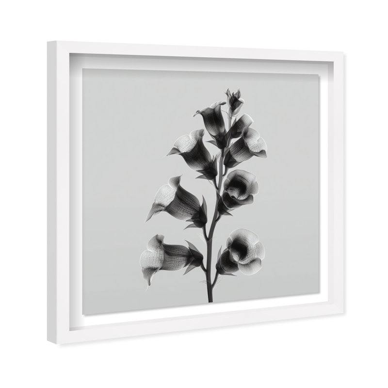 Ossified Petals I Shadowbox Floral & Botanical Print by Oliver Gal, Black Frame, 12 x 12, 17.5"H x 17.5"W, White Shadowbox
