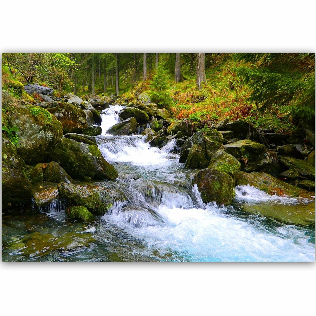 Leinwandbild Mountain Stream 3