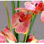 Ornements floraux en céramique simulés-568532950