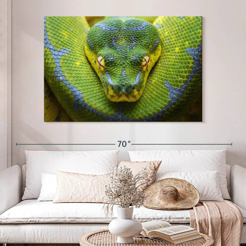 Brampt Fierce Green Tree Python, 34" H x 51" W
