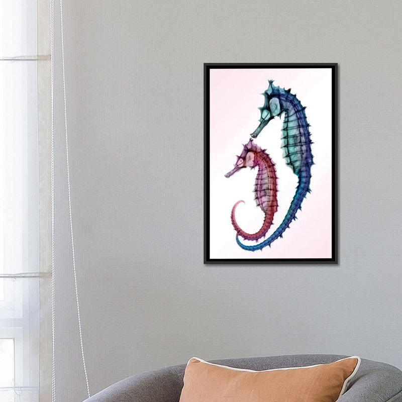 «Seahorse», impression sur toile, H 26 po x l 18 po x P 1,5 po, Toile avec cadre noir, Pas de tapis