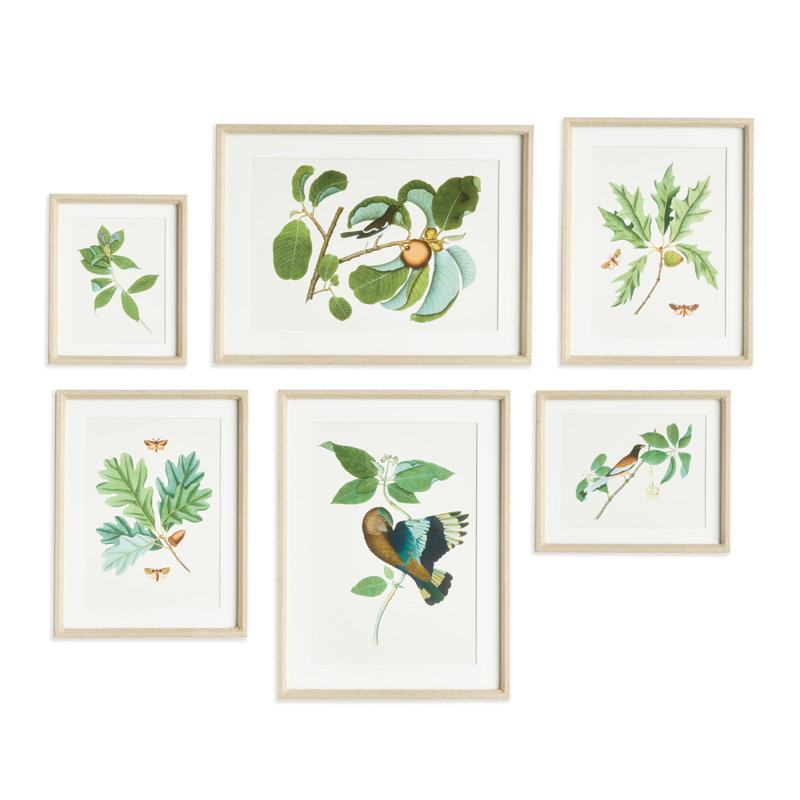 Ensemble de 6 GALERIES DE FAUNE