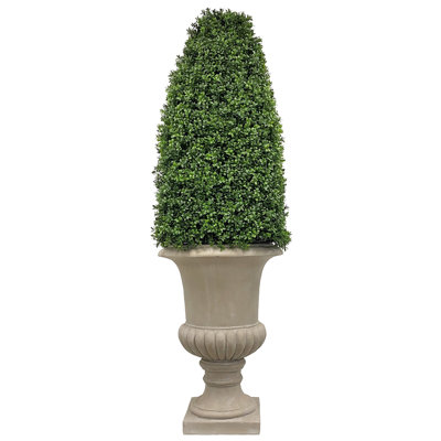 BOXWOOD BULLET IN A URN