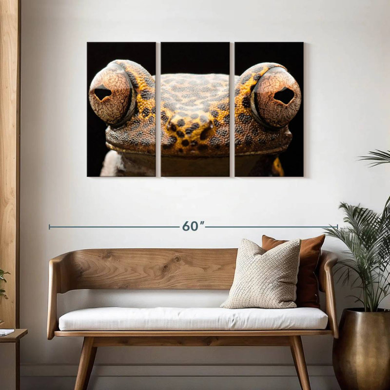 Yeux de grenouille Brampt, H 28 po x l 45 po