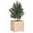 Rozbeh Wood Pot Planter