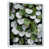 Cadre flottant blanc