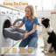 Pet Bed