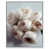 White Floater Frame