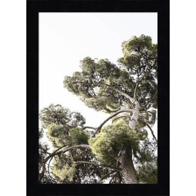 Reshma "Japanese Garden 01" Print