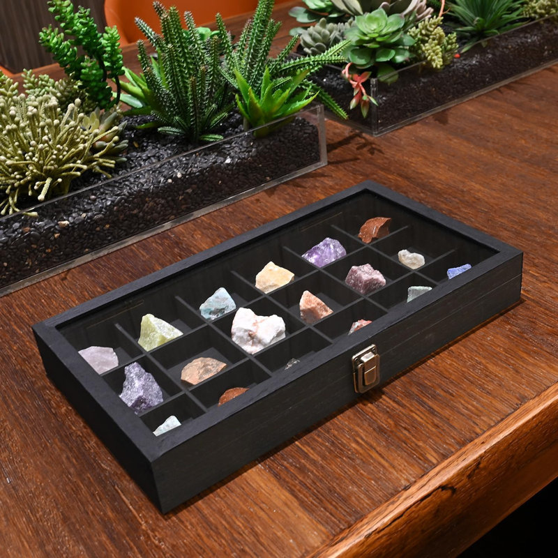 Wooden Display Storage Case with Tempered Glass Lid