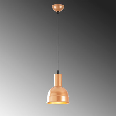 Luminaire suspendu en forme de dôme à 1 lumière Excalibur