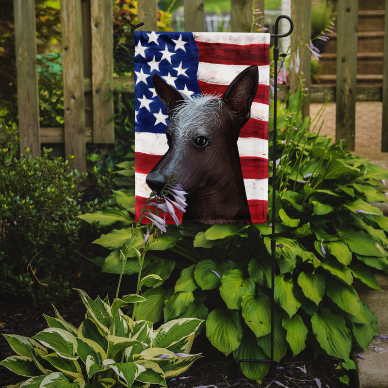 Polyester à 2 côtés 15 x 11 po drapeau de jardin, Mexicain nu