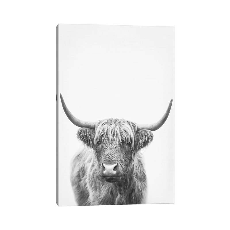 Highland Bull II by Sisi & Seb - Wrapped Canvas Print, 20.32 cm H x 30.48 cm W