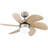 30'' Ceiling Fan with LED Lights-1637769002