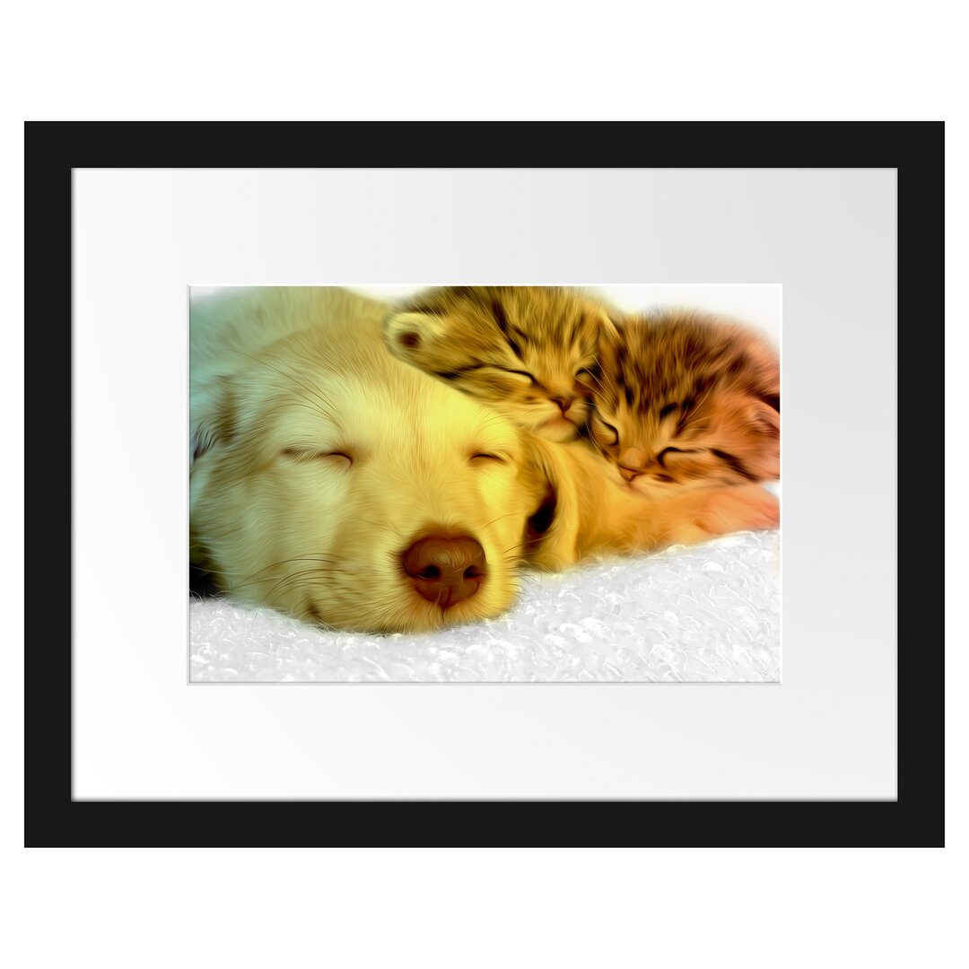 Gerahmtes Poster Welpe und Katze