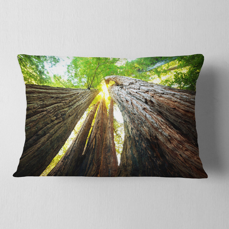 Sequoia Tree - Landscape Printed Throw Pillow