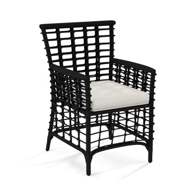 Luca Arm Chair by Birch Lane