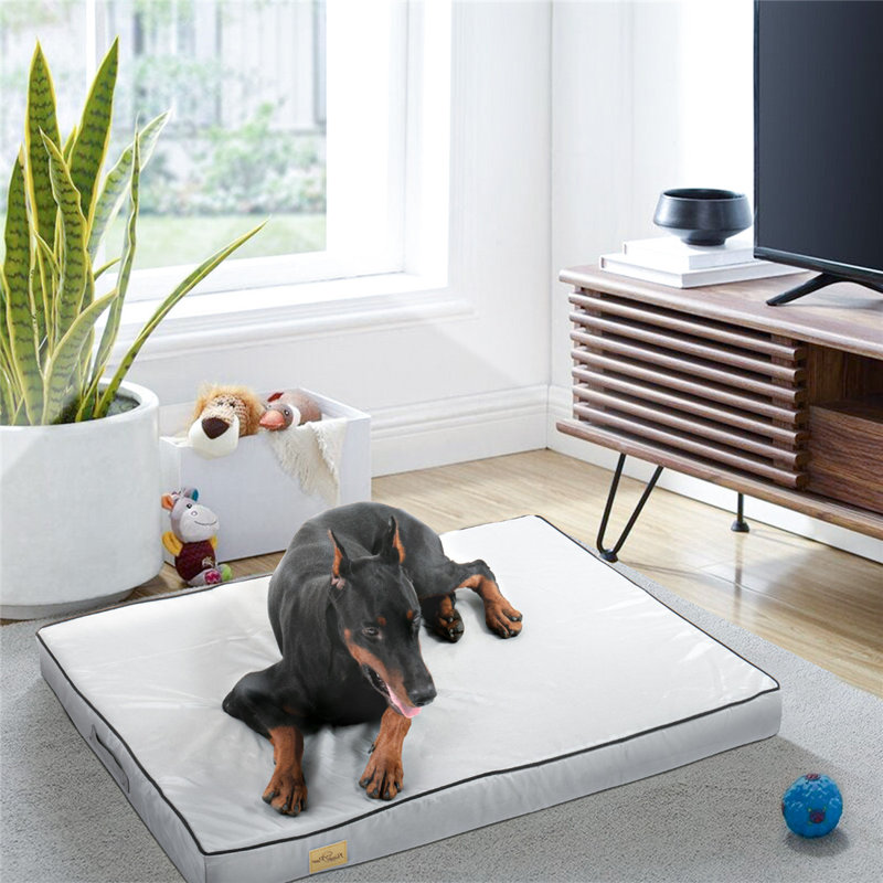 Coussin Pet, Moyen (H 3,1 po x l 37,4 po x P 27,5 po)