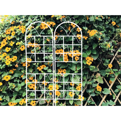 2 pièces treillis en céramique antirouille, métal, 19,6 po x 72 po, support pour plantes d'extérieur pour vignes de lierre, rose, gloire du matin, jasmin, jardin et broméliacées