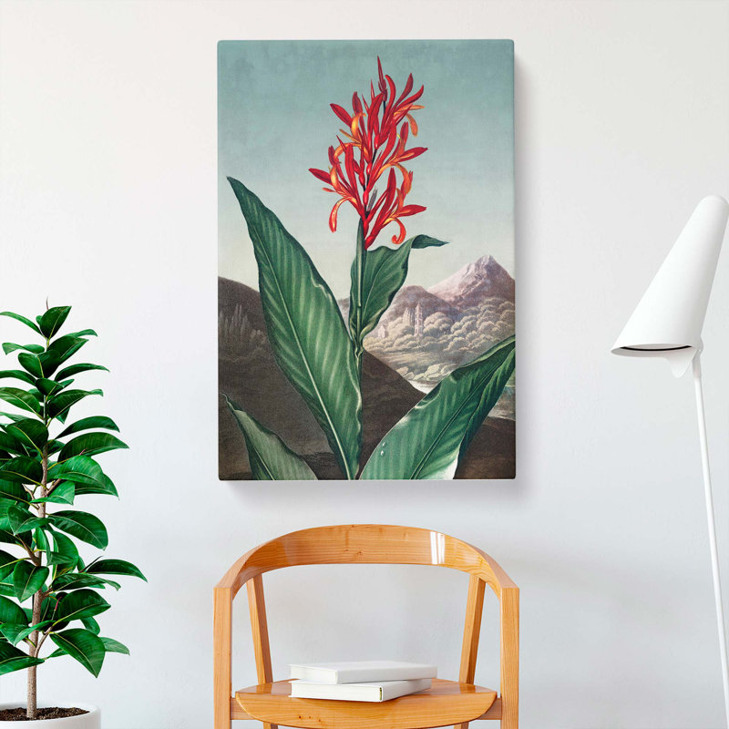 Indian Reed Flower by R.J. Thornton - Wrapped Canvas, 50cm H x 35cm W x 3cm D