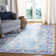 Joppatowne Performance Oriental Rug