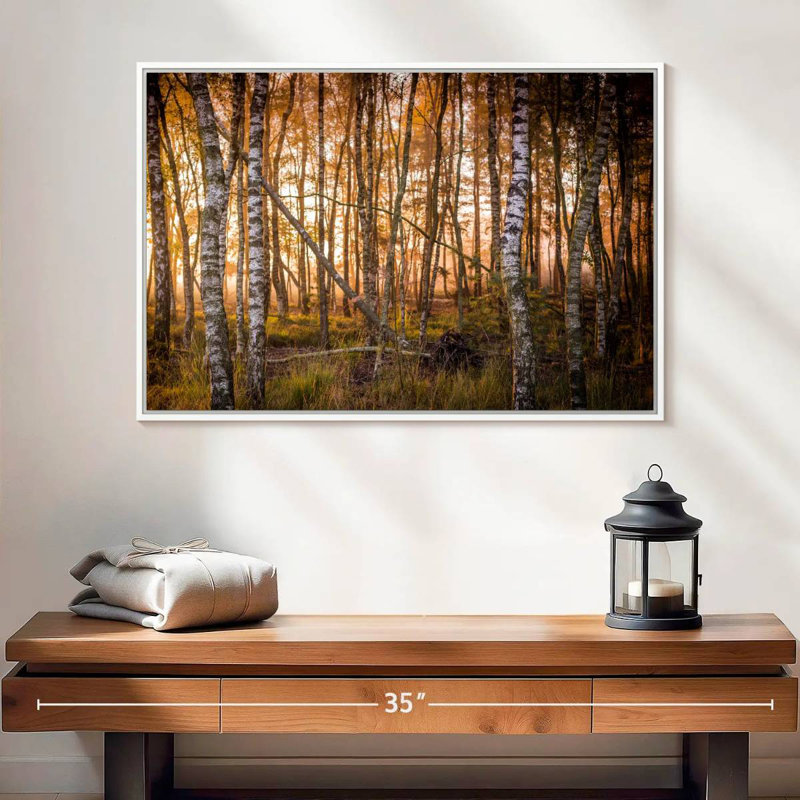 Forêt de bouleaux sombre, Cadre flottant blanc, 25 po x 17 po