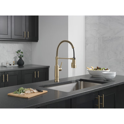 Robinet de cuisine Theodora Pro Style