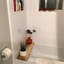 Serviteur de bain autoportant Hooppole-1866415750